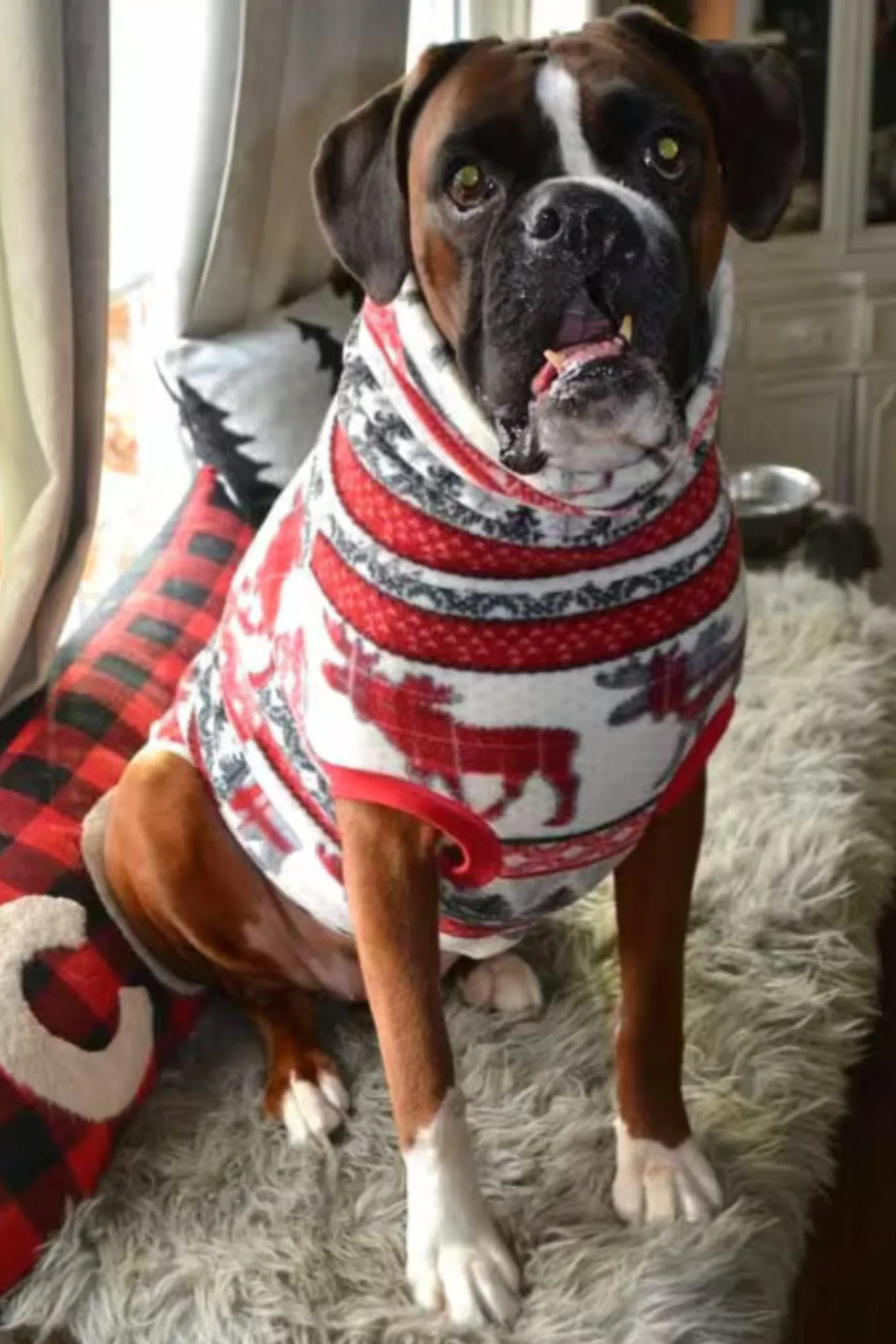 10% OFF SALE - Moose & Pine Holiday Dog Sweater - XXL