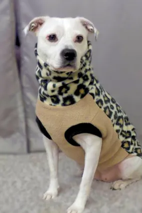 35% OFF SALE - The Leopard Dog Sweater - XXL