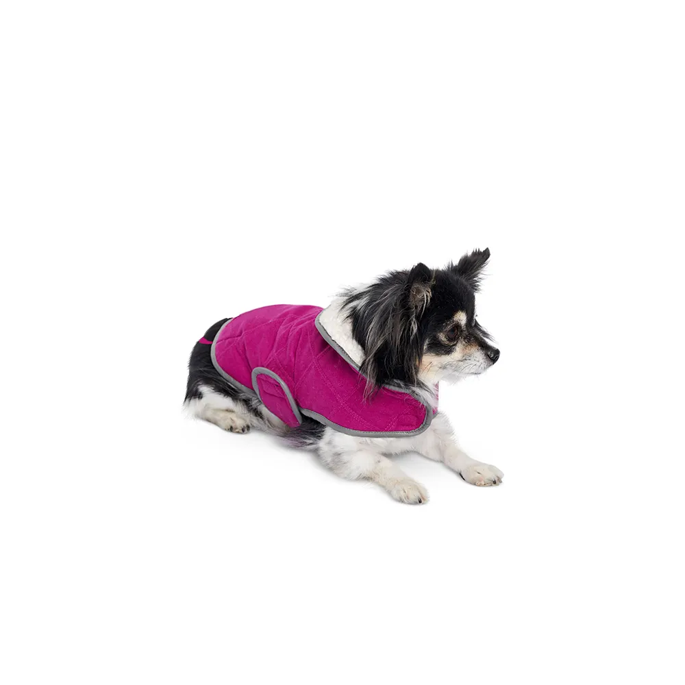 Burda X06049 Undefined Pet