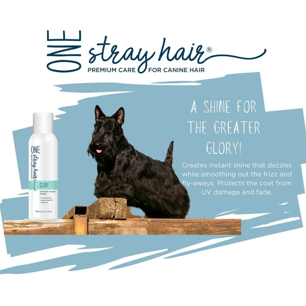 One Stray Hair Glory Instant Shine Spray For Dogs, 4oz