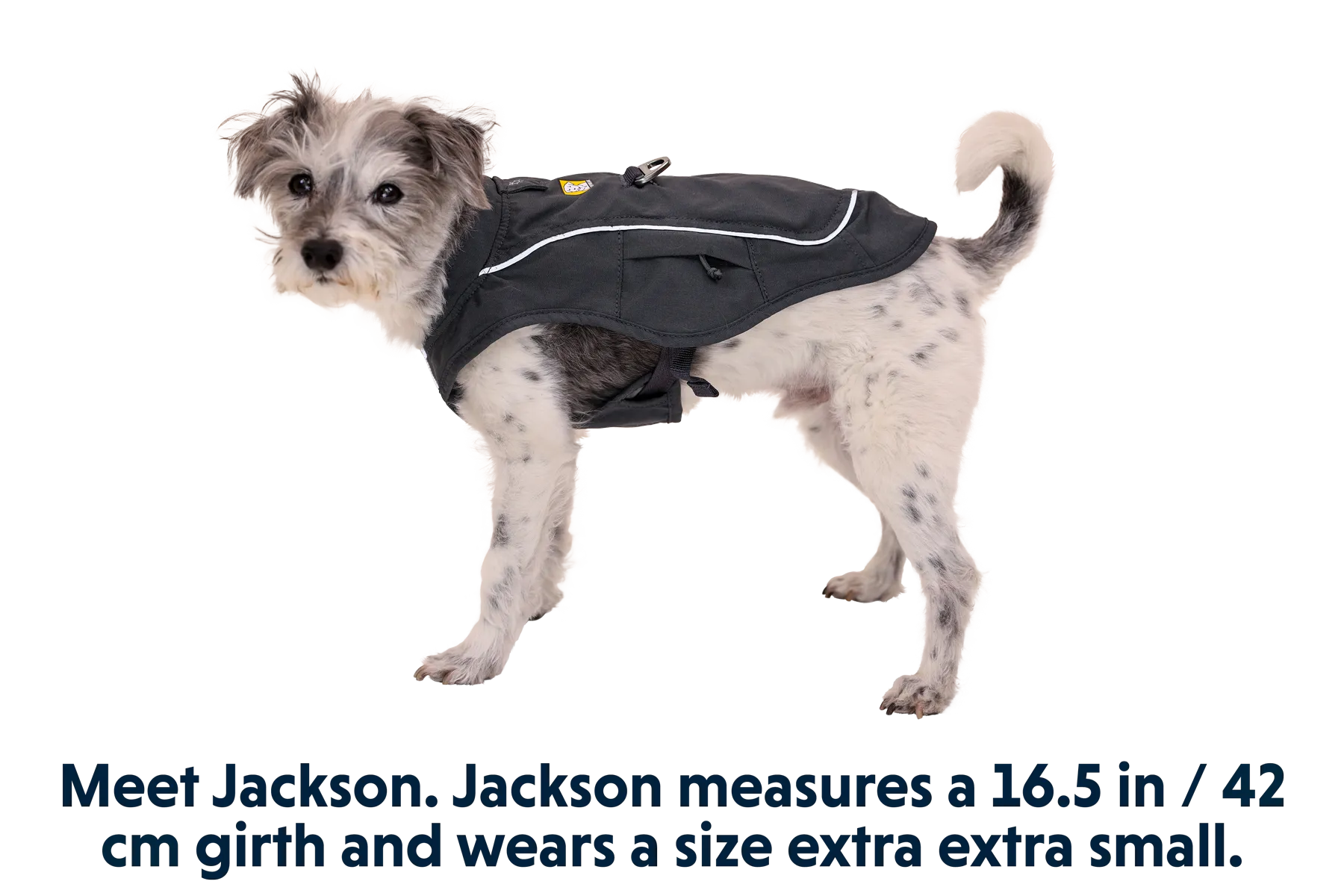 Overcoat Fuse™ Dog Harness Jacket