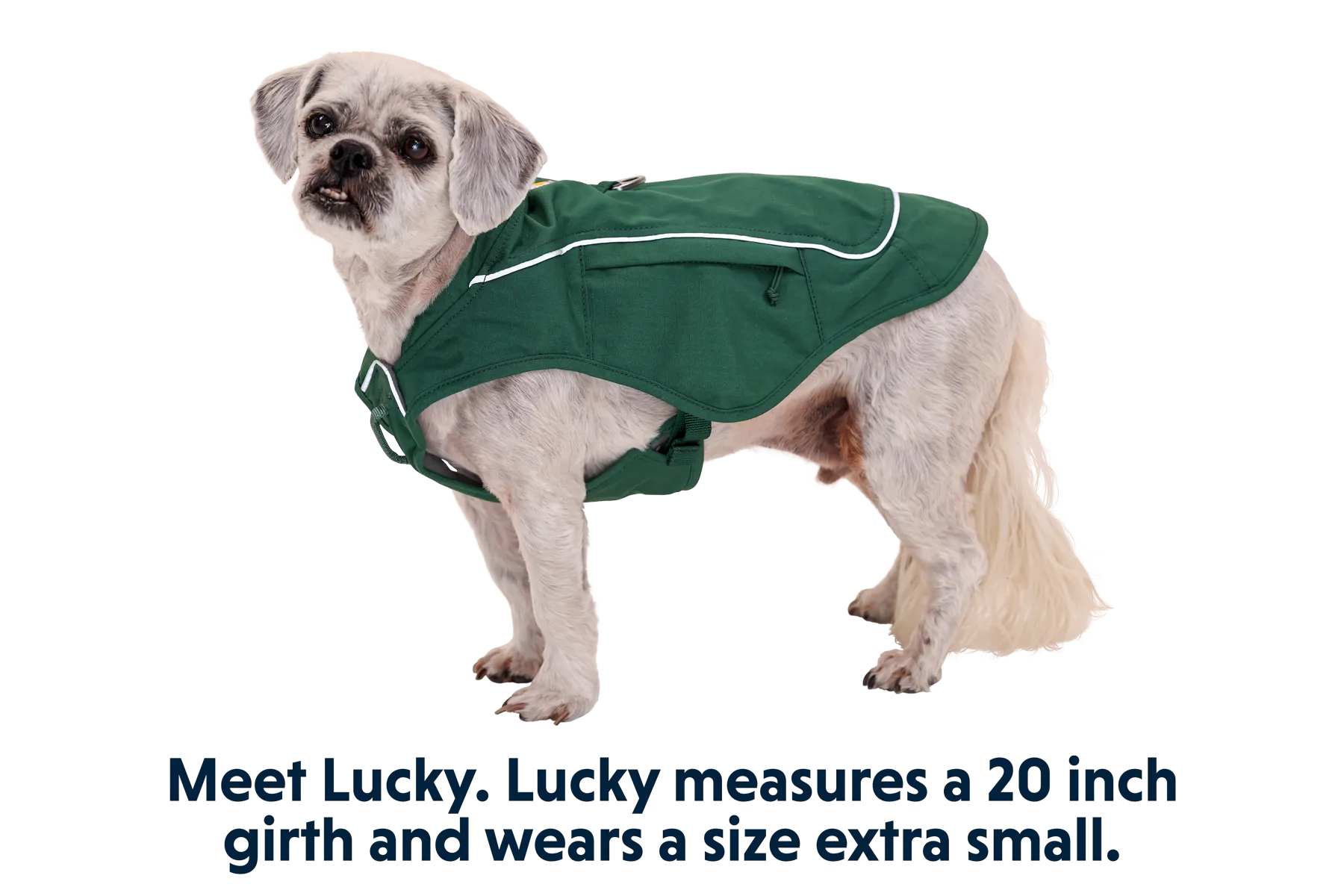 Overcoat Fuse™ Dog Harness Jacket