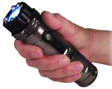 ZAP Light Stun Gun and Flashlight